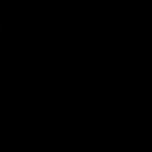 Meet your Posher, livvy